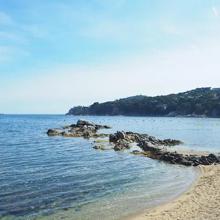Amb Piscina I Aparcament - Baixos Amb Jardinet
